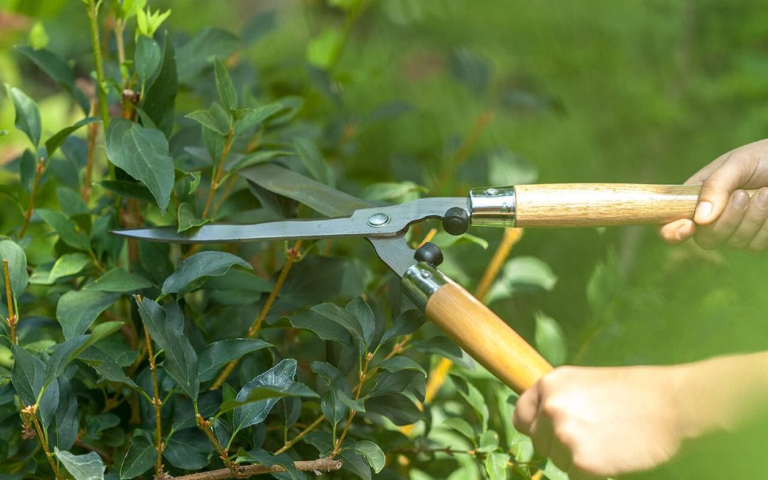 8 Spring Outdoor Home Maintenance Projects