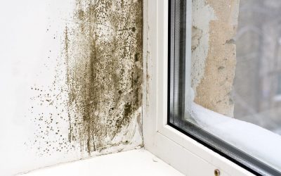 5 Common Causes of Mold in the Home