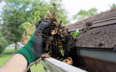 How to Clean Your Gutters Like a Pro‏